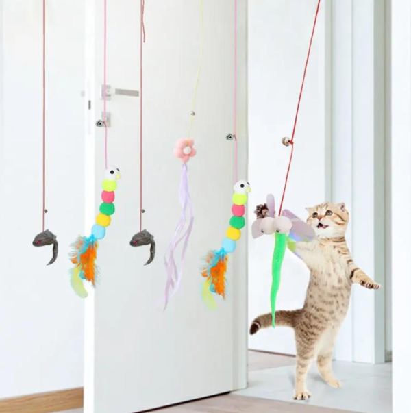 Doorway Bounce Hanging Cat Teaser