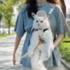bz-front-pet-carrier-beige-lifestyle Hands-Free Front Pet Carrier Backpack for Cats and Small Dogs – Beige