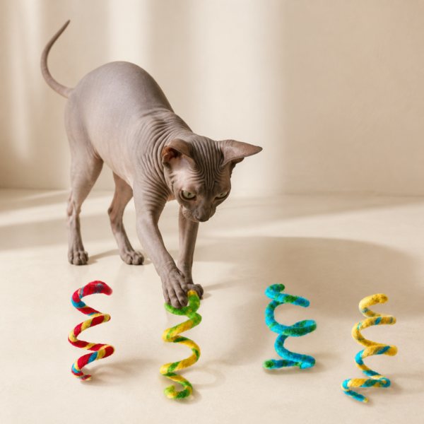 bz-wool-spring-cat-toy-set-sphynx-lifestyle 4-Piece Wool Spring Cat Toy Set
