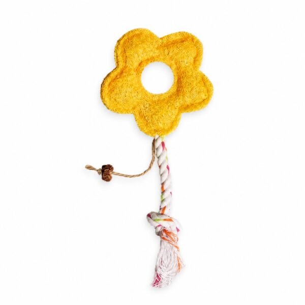 loofah-flower-rope-cat-toy-24x10cm Natural Loofah Cat Toy Collection