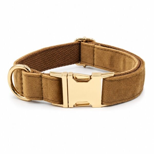 Personalized velvet cat collar in camel