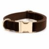 Personalized velvet cat collar in espresso