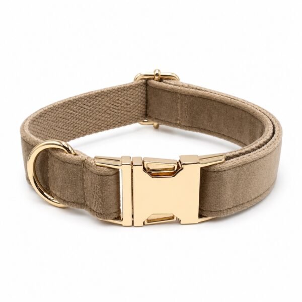 Personalized velvet cat collar in taupe