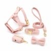 Pink Teddy pet walking complete set