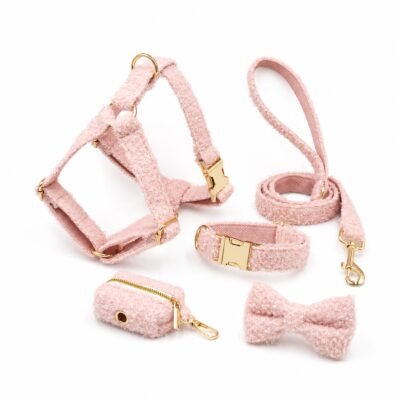 Pink Teddy pet walking complete set