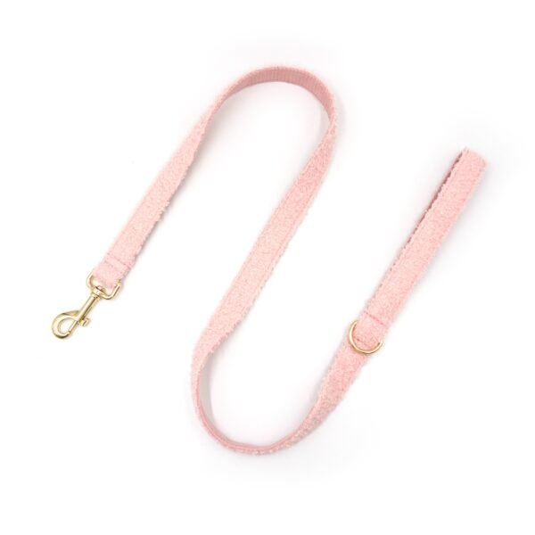 Pink Teddy matching pet leash