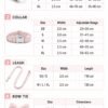 Pink Teddy pet walking collection size guide